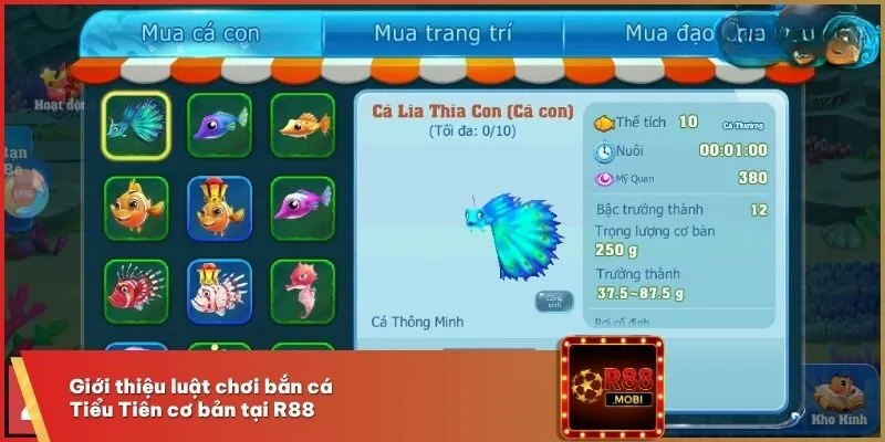 Giới thiệu luật chơi bắn cá Tiểu Tiên cơ bản tại R88